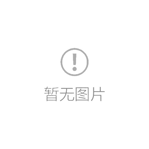 純面王芯芯相印